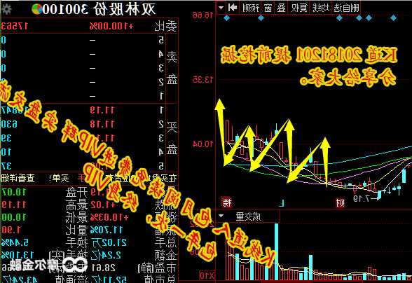 双林股份股票行情，双林股份走势分析！-第3张图片-ZBLOG